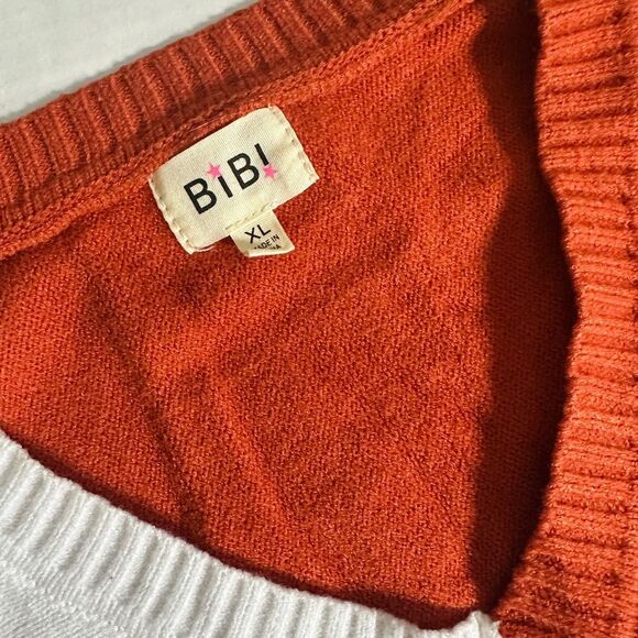 Bibi Oversized Colorblock Fall Vibes V Neck Sweater - Picture 8 of 10